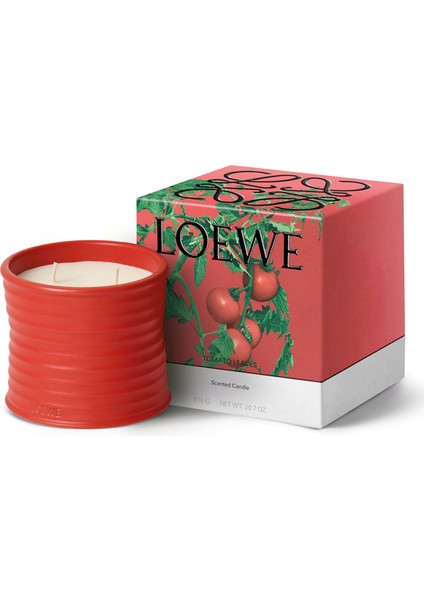 Tomato Leaves Medium 610 gr Mum fiyatları