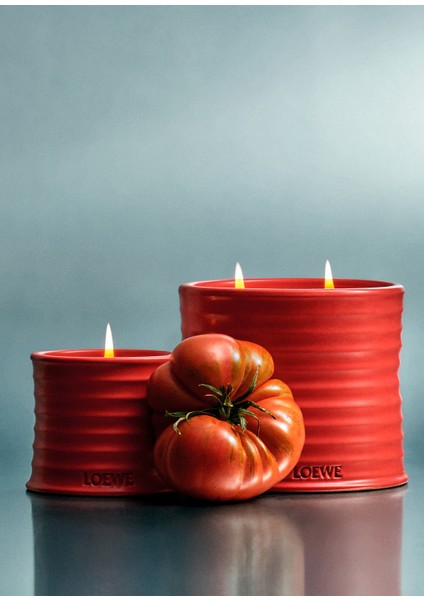 Tomato Leaves Medium 610 gr Mum