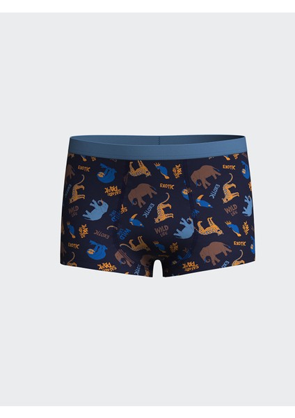 Yeni Sezon Baskılı Erkek Çocuk Boxer 3'lü fiyatları