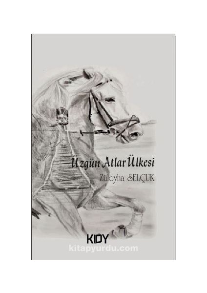 Üzgün Atlar Ülkesi