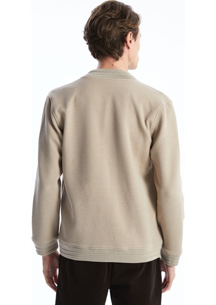 Yeni Sezon Kolej Yaka Uzun Kollu Erkek Fermuarlı Sweatshirt modelleri