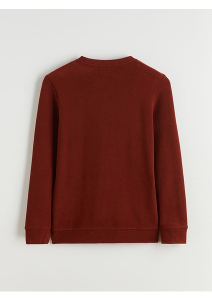 Yeni Sezon Bisiklet Yaka Erkek Sweatshirt fiyatları