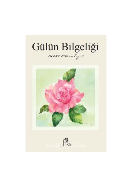 Gülün Bilgeliği