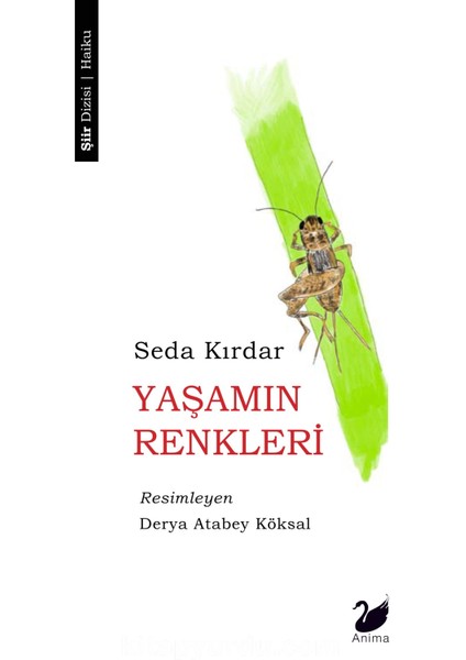 Yaşamın Renkleri