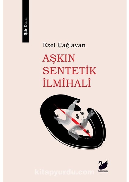 Aşkın Sentetik Ilmihali