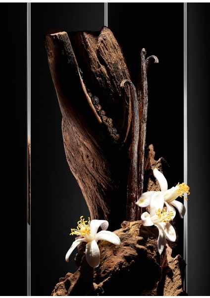 Myslf Le Parfum 100 ml fırsatları