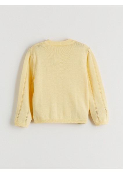 Yeni Sezon Bisiklet Yaka Kız Çocuk Triko Hırka modelleri