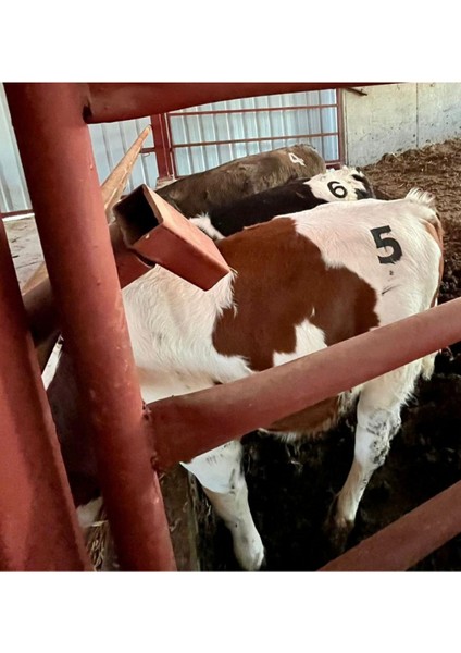 Hayvan Numara Işaretleme Soğuk Damga Numaratörü 11 cm Hayvan Belirleme Aparatı - Ayyıldız Hediyeli fırsatları