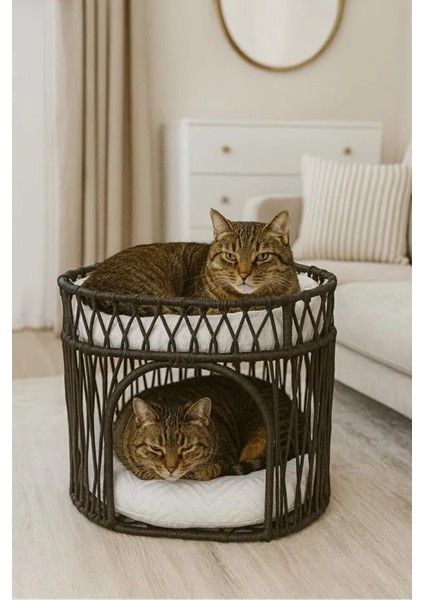 Çift Katlı Kedi Yatağı Kedi Ranzası, Iskandinav Kedi Evi Antrasit