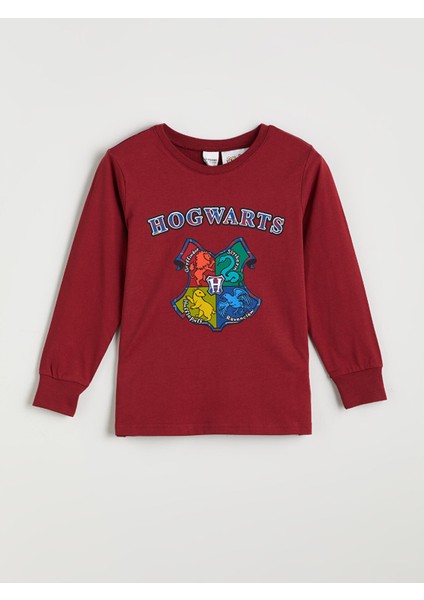 Yeni Sezon Bisiklet Yaka Harry Potter Baskılı Erkek Çocuk Pijama Takımı fiyatları