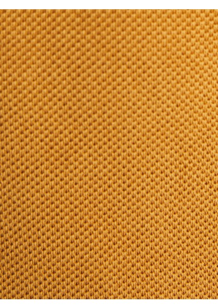 Yeni Sezon Bisiklet Yaka Erkek Triko Kazak indirimleri