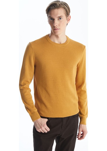 Yeni Sezon Bisiklet Yaka Erkek Triko Kazak