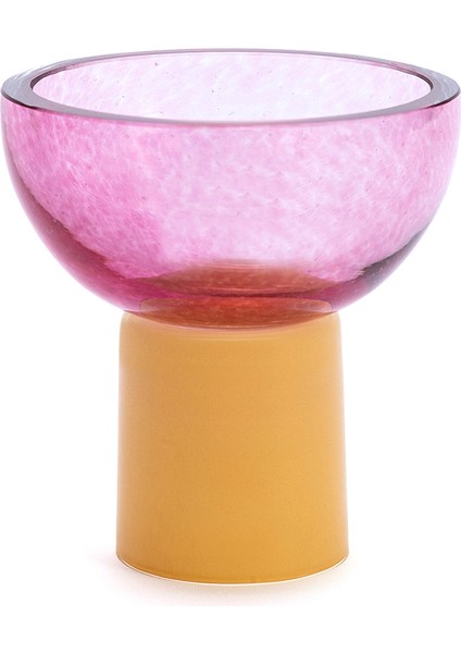 Mini Shroomy Cam Sunumluk