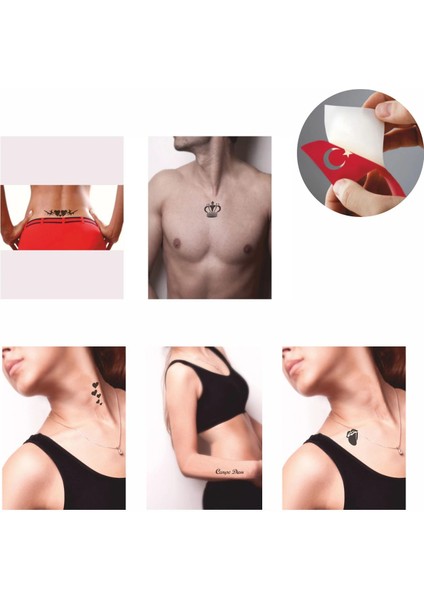 Kralın Kalbi Desenleri Hint Kınası ile Geçici Dövme Yapma Seti fiyatları