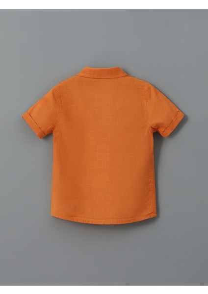 Yeni Sezon Kısa Kollu Basic Erkek Bebek Gömlek ve Şort 2'li Takım indirimleri