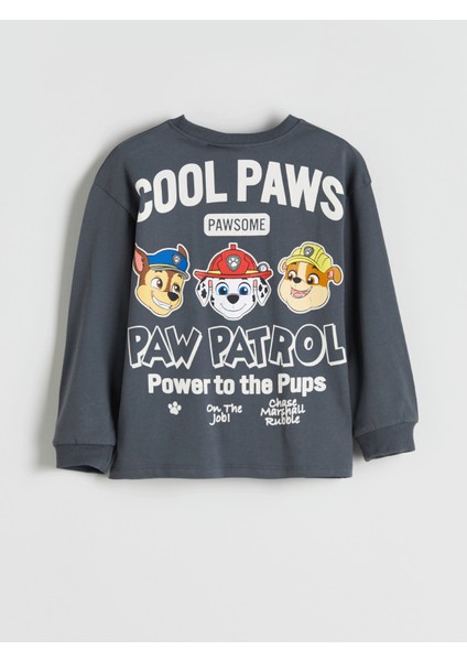 Yeni Sezon Paw Patrol Baskılı Erkek Çocuk Tişört fiyatları