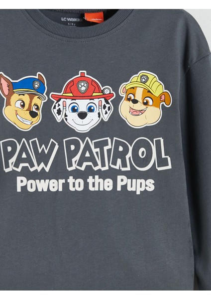 Yeni Sezon Paw Patrol Baskılı Erkek Çocuk Tişört fırsatları