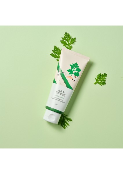 Mugwort Calming Cleanser Cildi Sakin Tutan Cilt Ph Uyumlu Mugwort Özlü Temizleyici 150ML modelleri