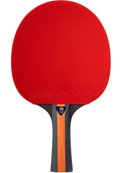 Bat Vısıon 4 Star Masa Tenis Raketi 1214-3218-01 fırsatları