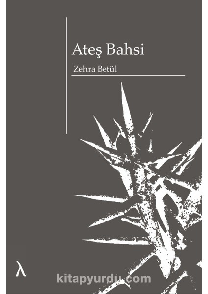 Ateş Bahsi