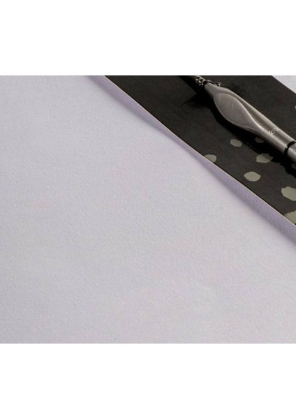 mm Sanatçı Akrilik Boya Fırçası Premium Taklon Detay 2/0 modelleri