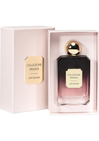 Just Bloom 100 ml Kadın Parfüm fiyatları
