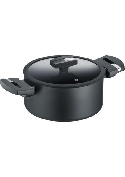 B.green Induction Siyah Cam Kapaklı Tencere 20 cm