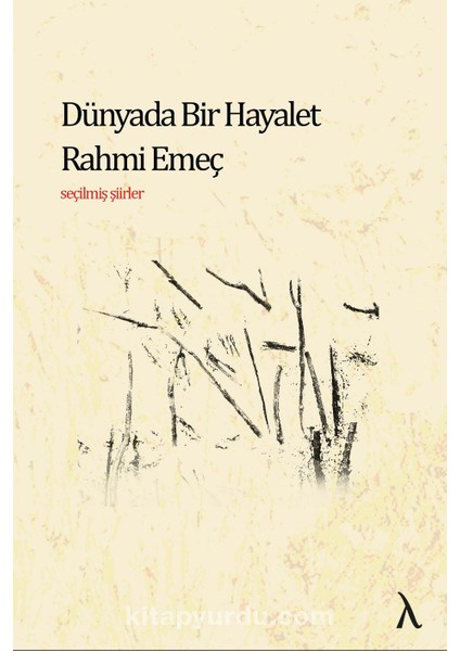 Dünyada Bir Hayalet Seçilmiş Şiirler