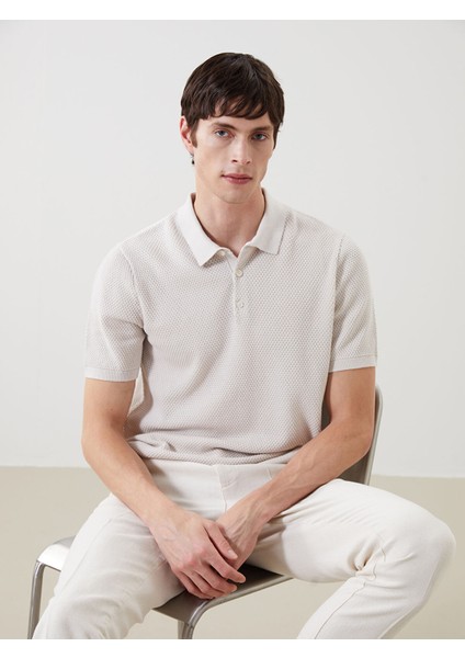 Yeni Sezon Polo Yaka Kısa Kollu Erkek Triko Kazak