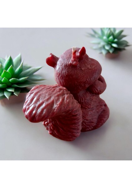 Sincap Mum fiyatları