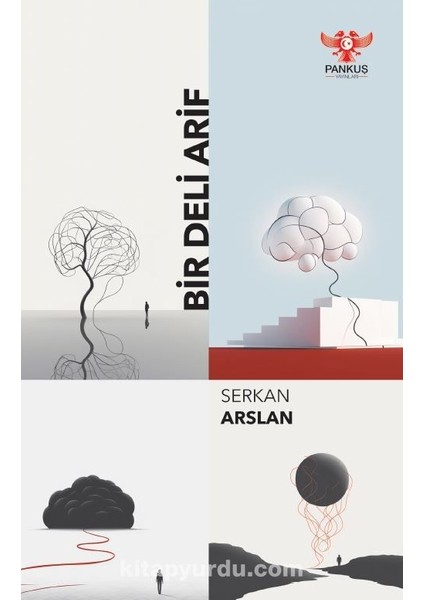 Bir Deli Arif