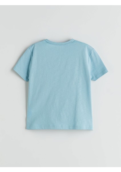 Yeni Sezon Baskılı Erkek Bebek Tişört ve Şort 3'lü Takım modelleri