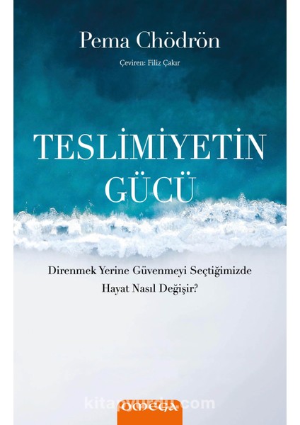 Teslimiyetin Gücü Direnmek Yerine Güvenmeyi Seçtiğimizde Hayat Nasıl Değişir ?