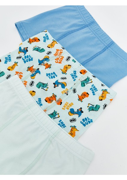 Yeni Sezon Baskılı Erkek Çocuk Boxer 3'lü modelleri