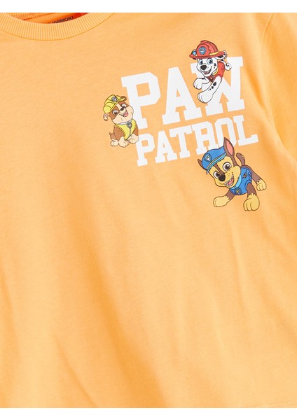 Yeni Sezon Paw Patrol Baskılı Erkek Çocuk Tişört fiyatları