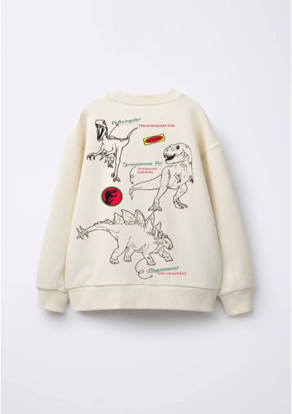 Jurassıc World Erkek Çocuk Sweatshirt fiyatları