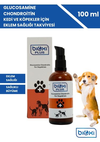 Glucosamine Chondroitin Kedi ve Köpekler Için Eklem Sağlığı Takviyesi 100 ml