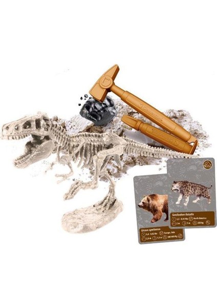 64839 Bilim ve Oyun - Dünyadaki Yaşamın Tarihi fiyatları