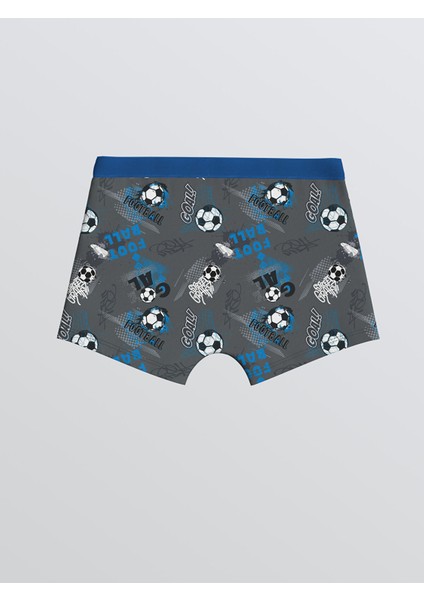 Yeni Sezon Baskılı Erkek Çocuk Boxer 3'lü indirimleri