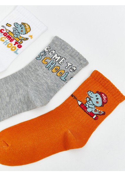 Yeni Sezon Desenli Erkek Çocuk Soket Çorap 3'lü fiyatları