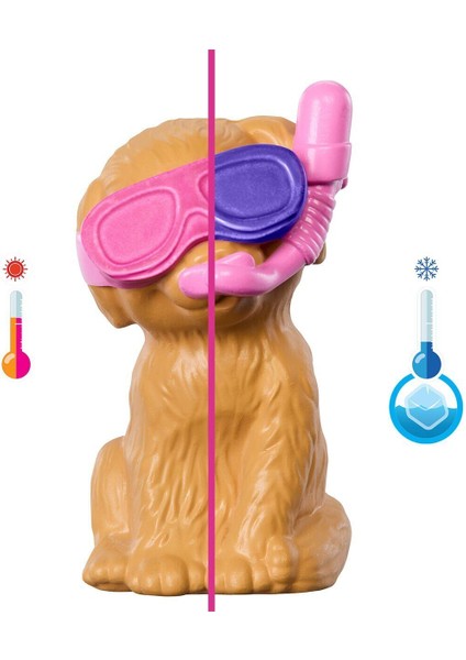 JBF35 Barbie Köpekçikle Havuz Partisi Oyun Seti indirimleri