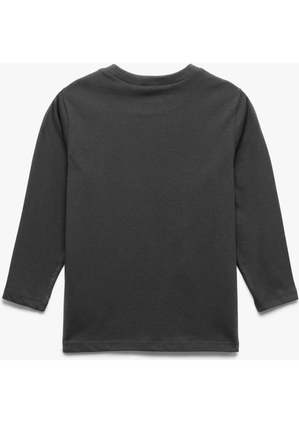 Dinozor Baskılı Uzun Kollu Bisiklet Yaka Tişört fiyatları