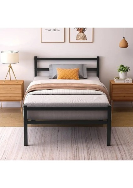 Metal Karyola Hsn Metal Karyola Siyah Renk, Çift Kişilik, Ölçü Seçenekli indirimleri