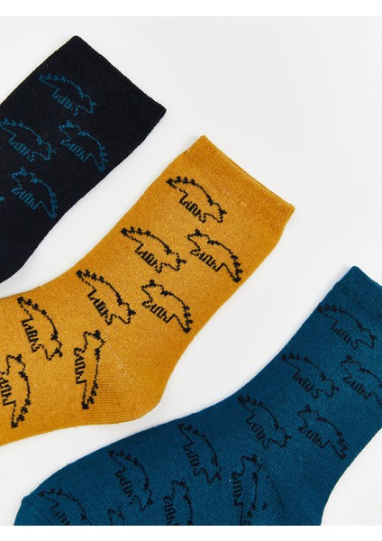 Yeni Sezon Desenli Erkek Çocuk Patik Çorap 3'lü fiyatları
