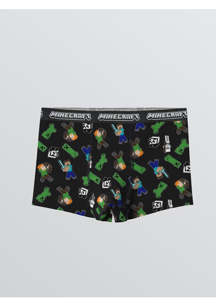 Yeni Sezon Minecraft Baskılı Erkek Çocuk Boxer 2'li modelleri
