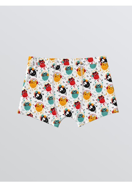 Yeni Sezon Baskılı Erkek Çocuk Boxer 3'lü fiyatları