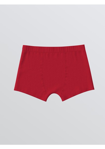 Yeni Sezon Baskılı Erkek Çocuk Boxer 3'lü modelleri