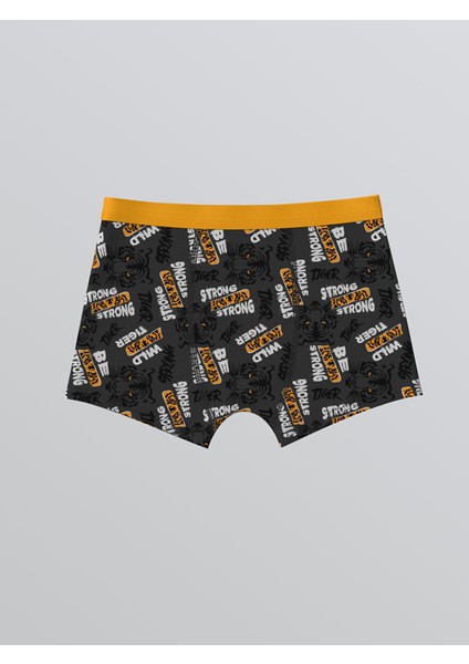 Yeni Sezon Baskılı Erkek Çocuk Boxer 3'lü fiyatları
