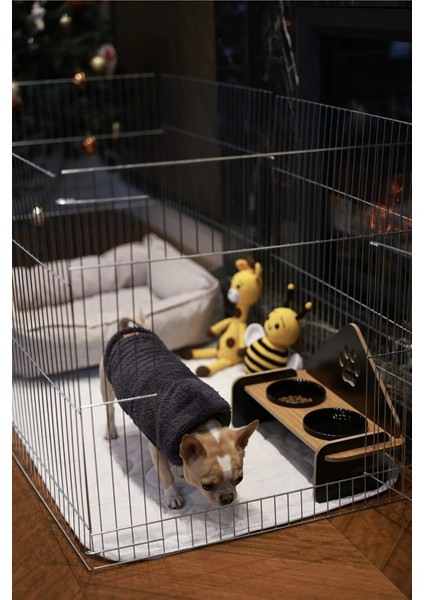 Yıkanabilir ve Su Geçirmez Köpek Çiş Pedi, 60X60 Cm, Rahat Kullanım