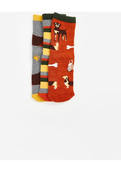 Yeni Sezon Desenli Erkek Çocuk Havlu Soket Çorap 3'lü fırsatları
